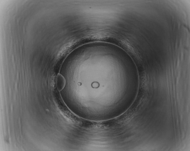 X0000100880736200806271137