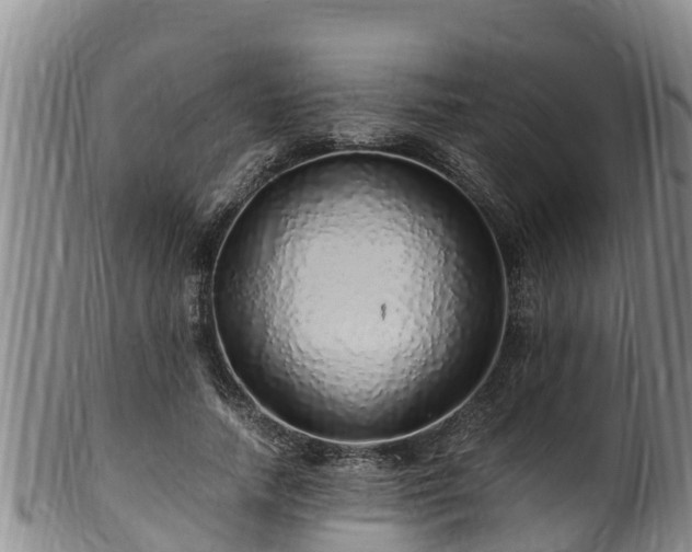 X0000100880738200806271137