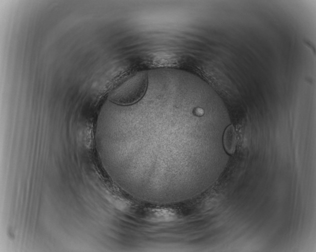 X0000100880741200806271137