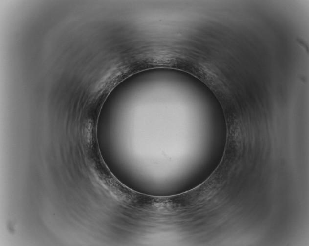 X0000100880744200806271137