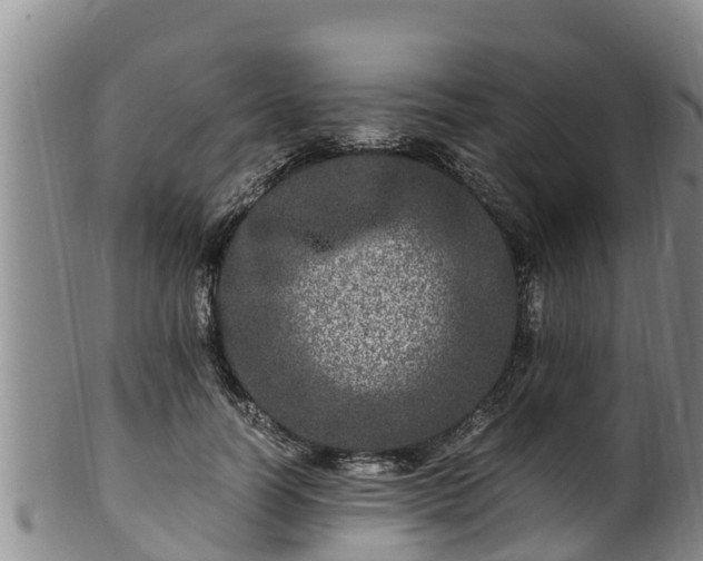 X0000100880746200806271137