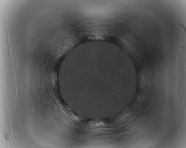 X0000100880747200806271137