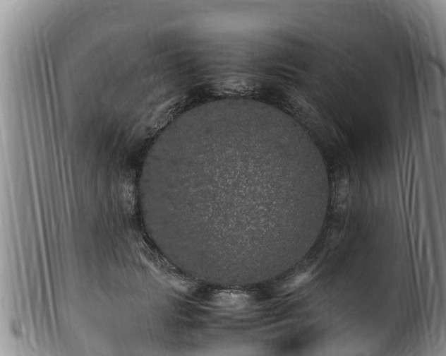 X0000100880749200806271137