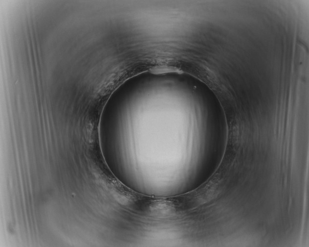 X0000100880750200806271137