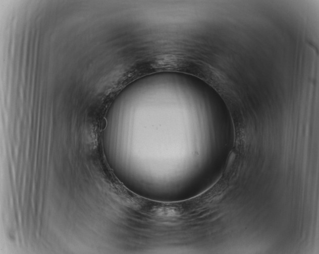 X0000100880751200806271137