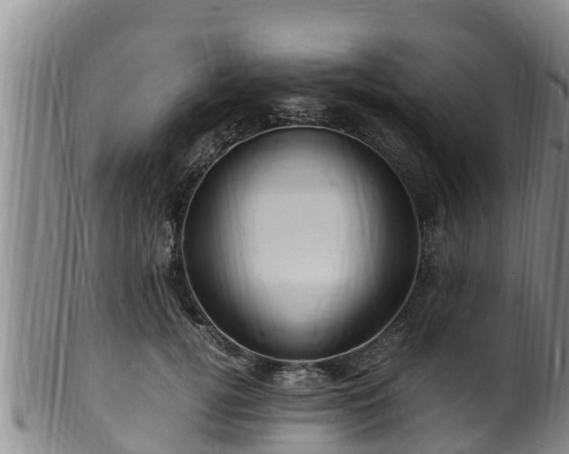 X0000100880752200806271137