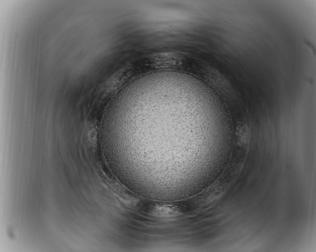 X0000100880753200806271137