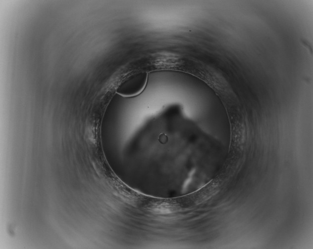 X0000100880755200806271137