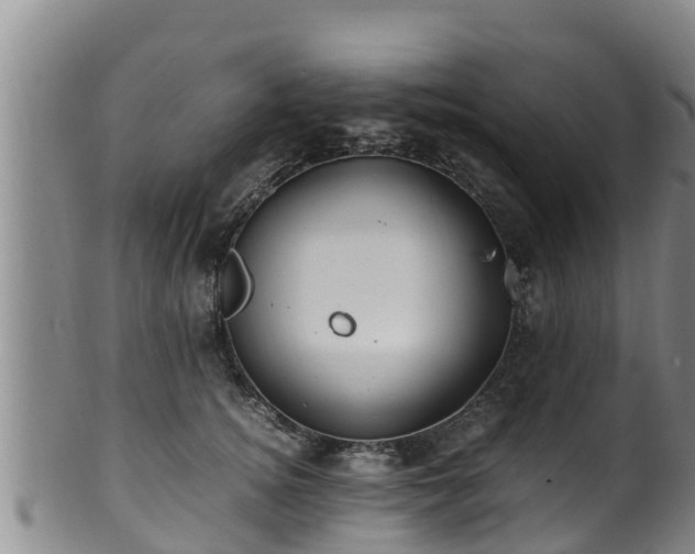 X0000100880756200806271137