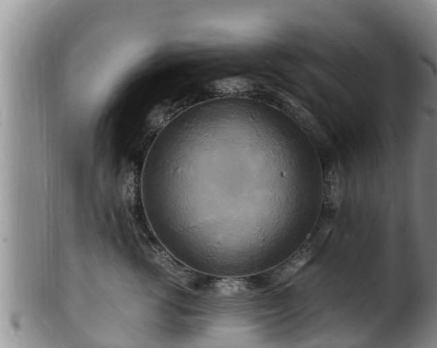 X0000100880762200806271137