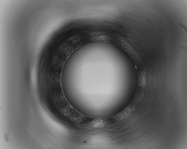 X0000100880764200806271137