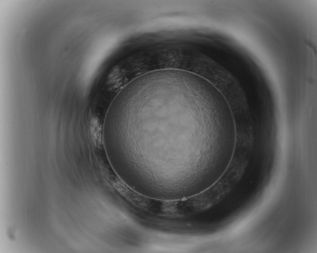 X0000100880766200806271137