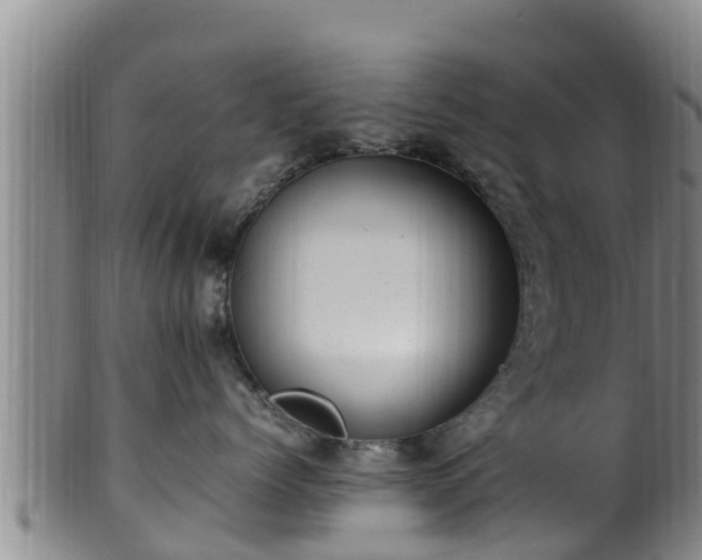 X0000100880768200806271138