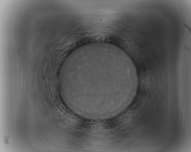 X0000100880769200806271136