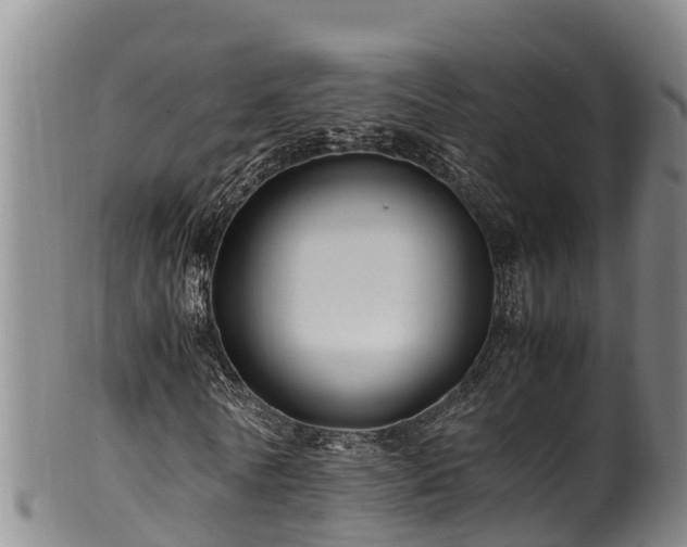 X0000100880770200806271136