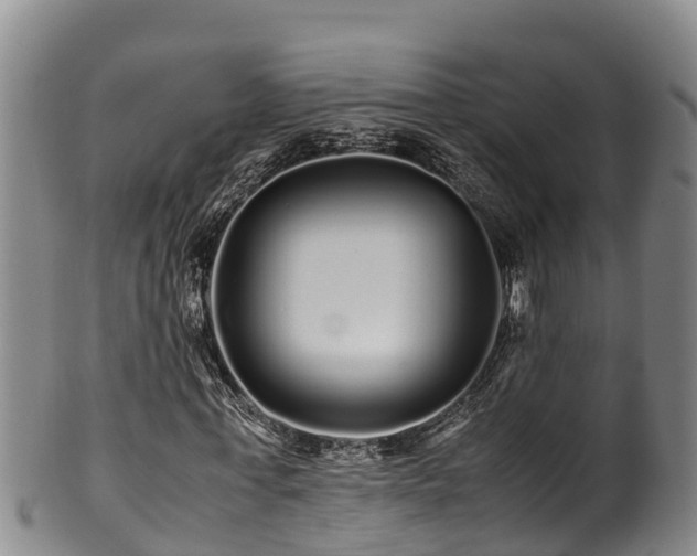 X0000100880771200806271136