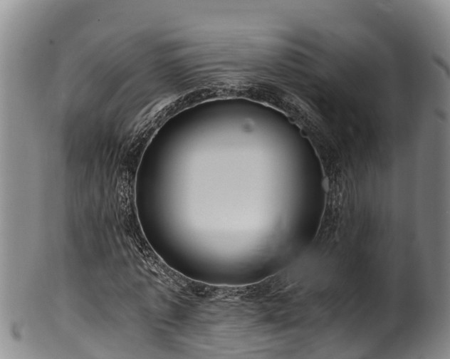 X0000100880773200806271136