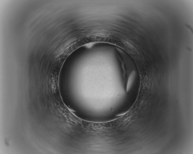 X0000100880774200806271136