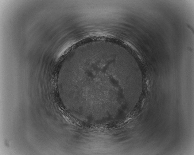 X0000100880775200806271136