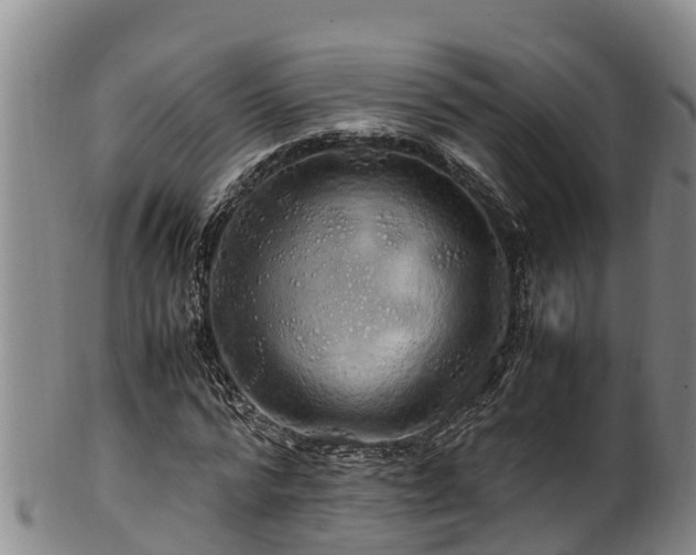 X0000100880776200806271136