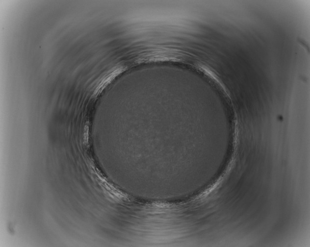 X0000100880777200806271136