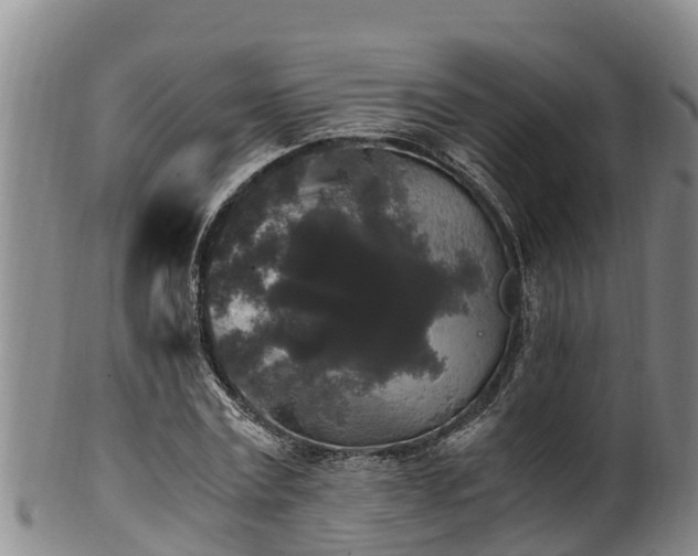 X0000100880779200806271136