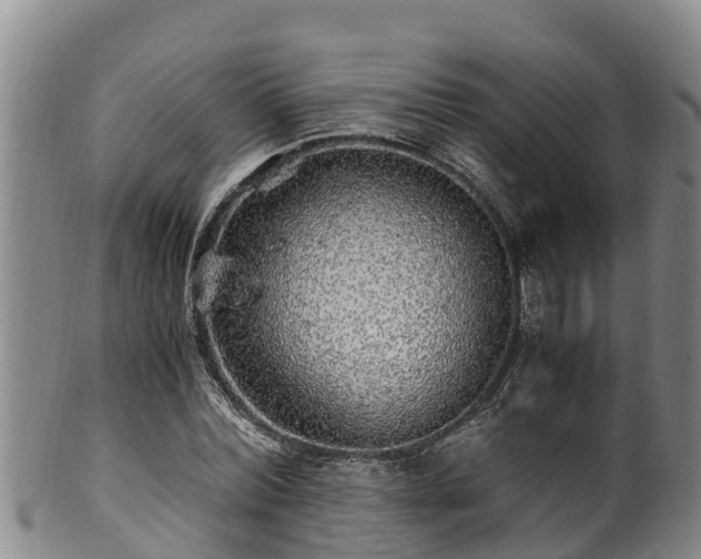 X0000100880780200806271136