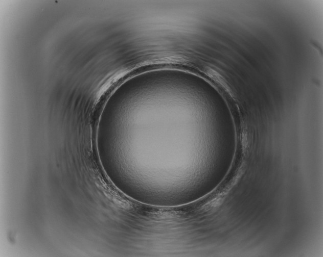 X0000100880781200806271136