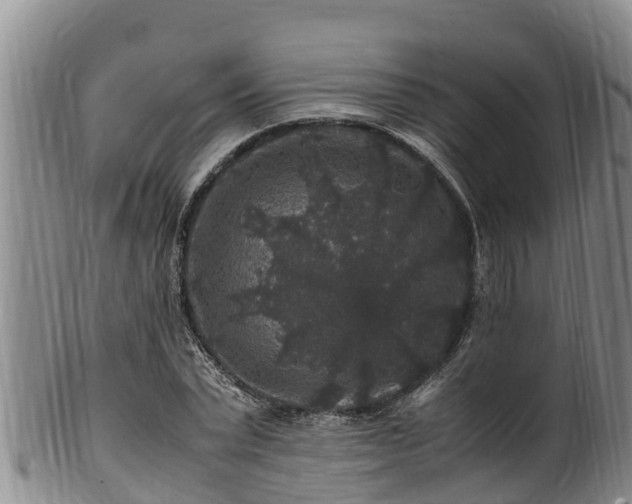 X0000100880783200806271136