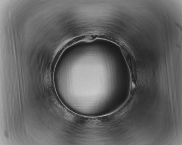 X0000100880784200806271136