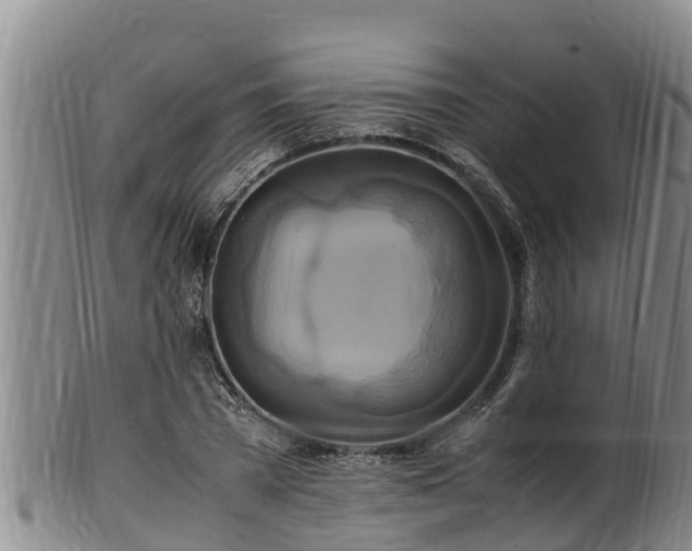 X0000100880785200806271136