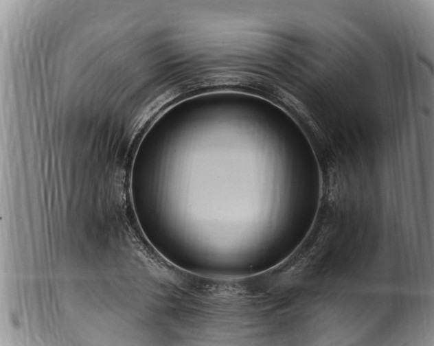 X0000100880786200806271136