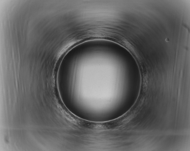 X0000100880787200806271136