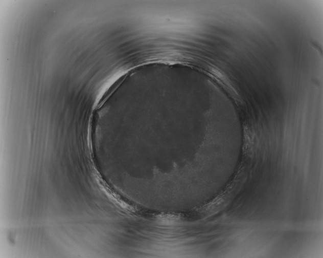 X0000100880788200806271136