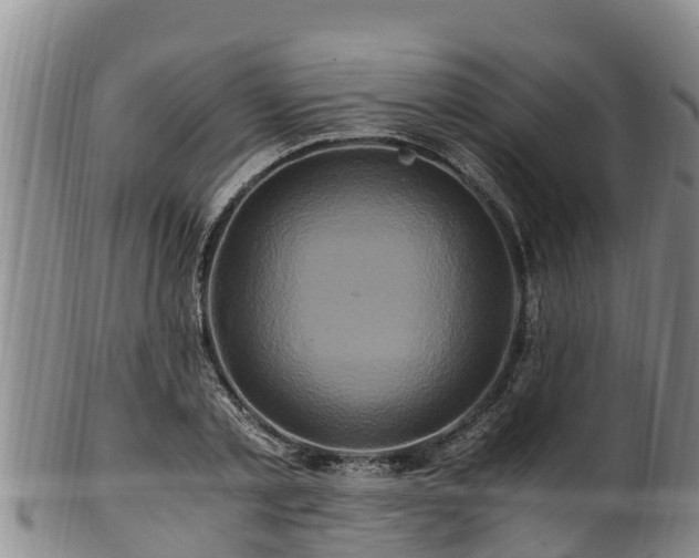 X0000100880789200806271136