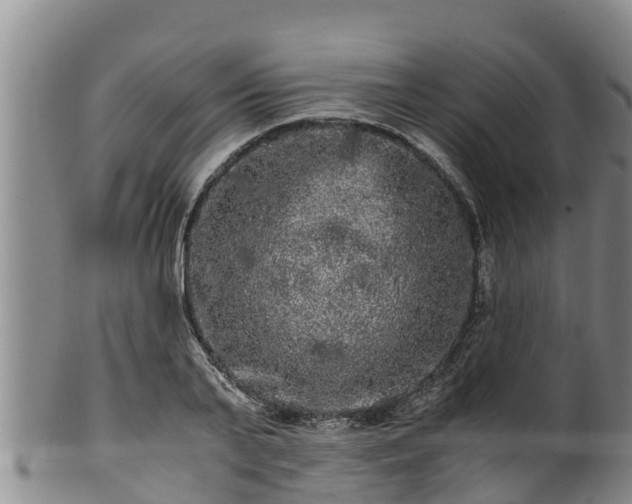 X0000100880791200806271136