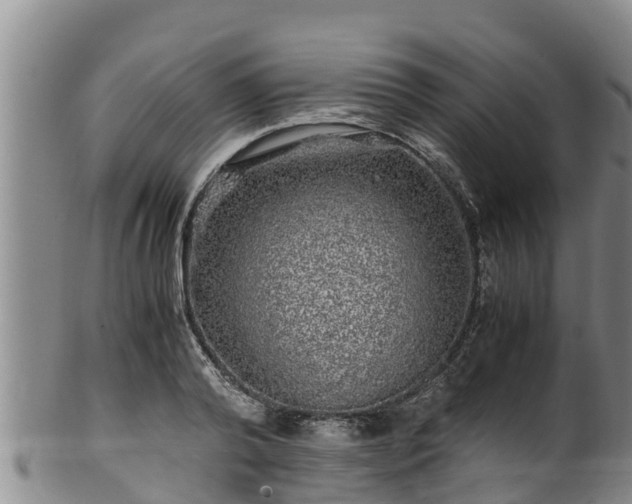 X0000100880792200806271136