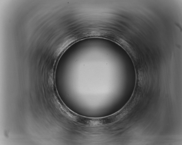 X0000100880794200806271136