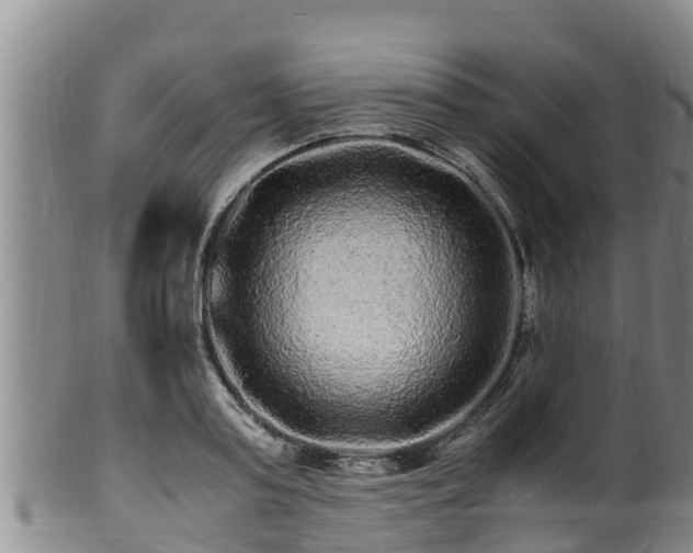 X0000100880795200806271136