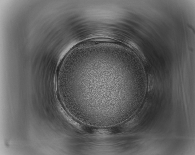 X0000100880796200806271136