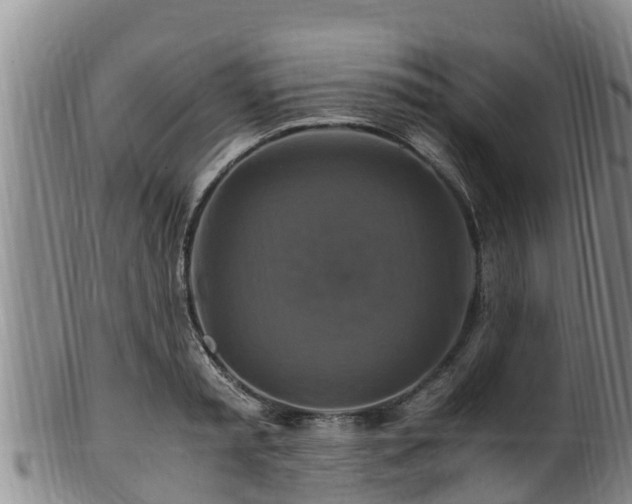 X0000100880797200806271136