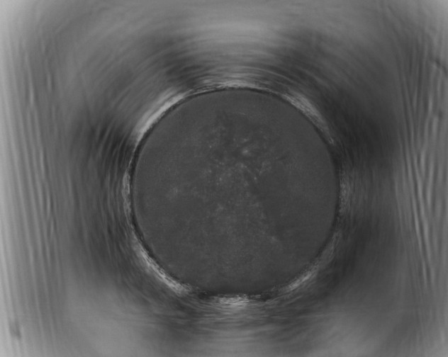 X0000100880798200806271136