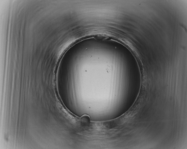 X0000100880799200806271136