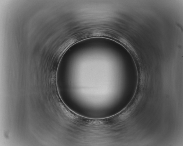 X0000100880801200806271136