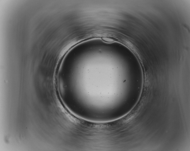 X0000100880803200806271136