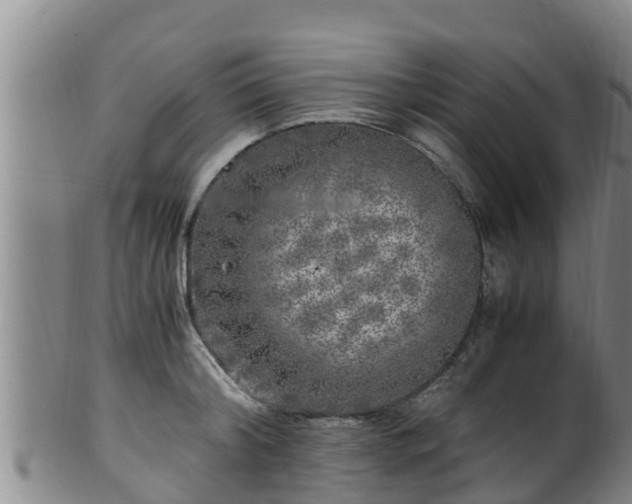 X0000100880804200806271136