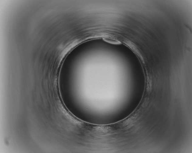 X0000100880805200806271136