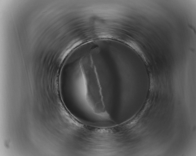 X0000100880806200806271136