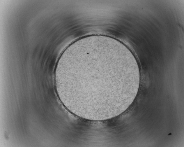 X0000100880807200806271136