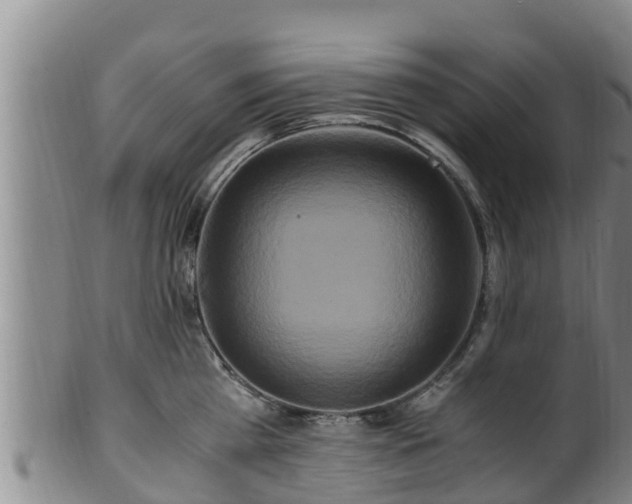 X0000100880809200806271136